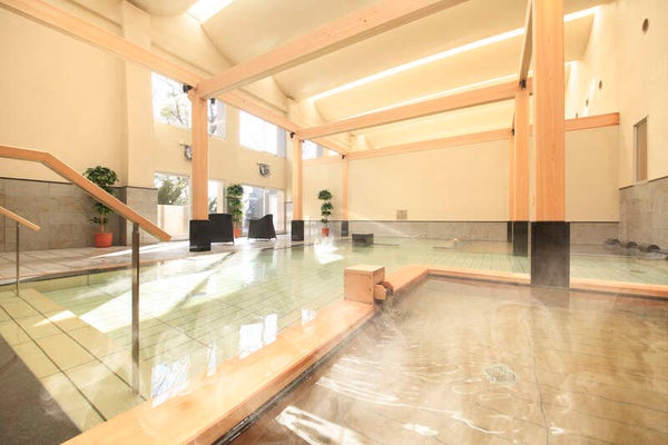 【栃木県内発】 1泊3食付!年度末大感謝ミステリーツアー 開湯400年の歴史ある温泉でゆったりのんびり18時間滞在 2日間2